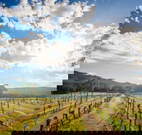 Fallen Giants Vineyard - Accommodation ACT
