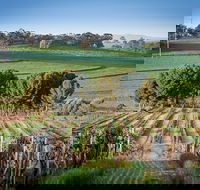 Heritage Wines - Accommodation ACT