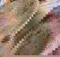 Zaika Tandoor - Accommodation ACT