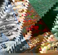 Balter Brewing Company - Accommodation ACT