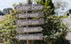 Mount Macedon Winery - thumb 2