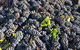 Norton Road Wines - thumb 2