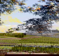 Wynwood Estate - Accommodation ACT