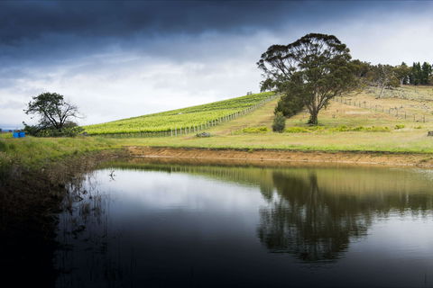 Mount Majura Vineyard - Accommodation ACT 1
