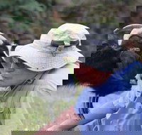 Providence Vineyards - Accommodation ACT