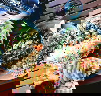 Luxe Fish - Accommodation ACT