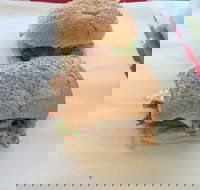 Taylor's Seafood - Accommodation ACT