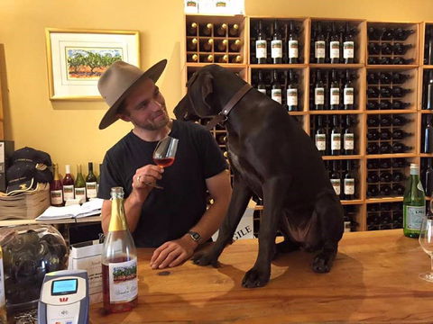 Vinden Estate Wines - Accommodation ACT 1