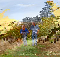 WayWood Wines - Accommodation ACT