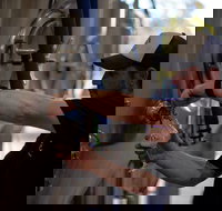 Wild Hop Brewing Company - Accommodation ACT