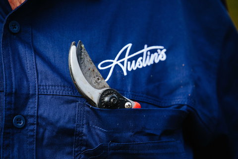 Austin's Wines - Accommodation ACT 2