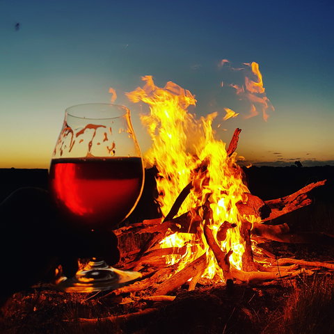 Black Dog Brewery - Accommodation ACT 0