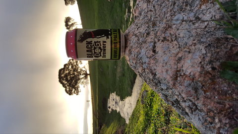 Black Dog Brewery - Accommodation ACT 2