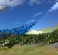 Freycinet Vineyard - Accommodation ACT