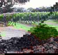 Spring Vale Vineyard - Accommodation ACT