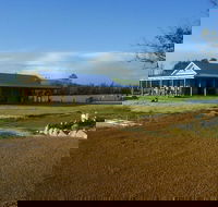 Thomson Brook Wines - Accommodation ACT