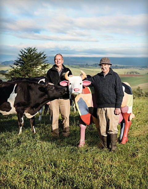 Ashgrove Farm Cheese - Accommodation ACT 1
