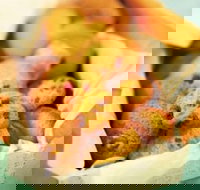 Mrs. Fields - Taylors Lakes - Accommodation ACT