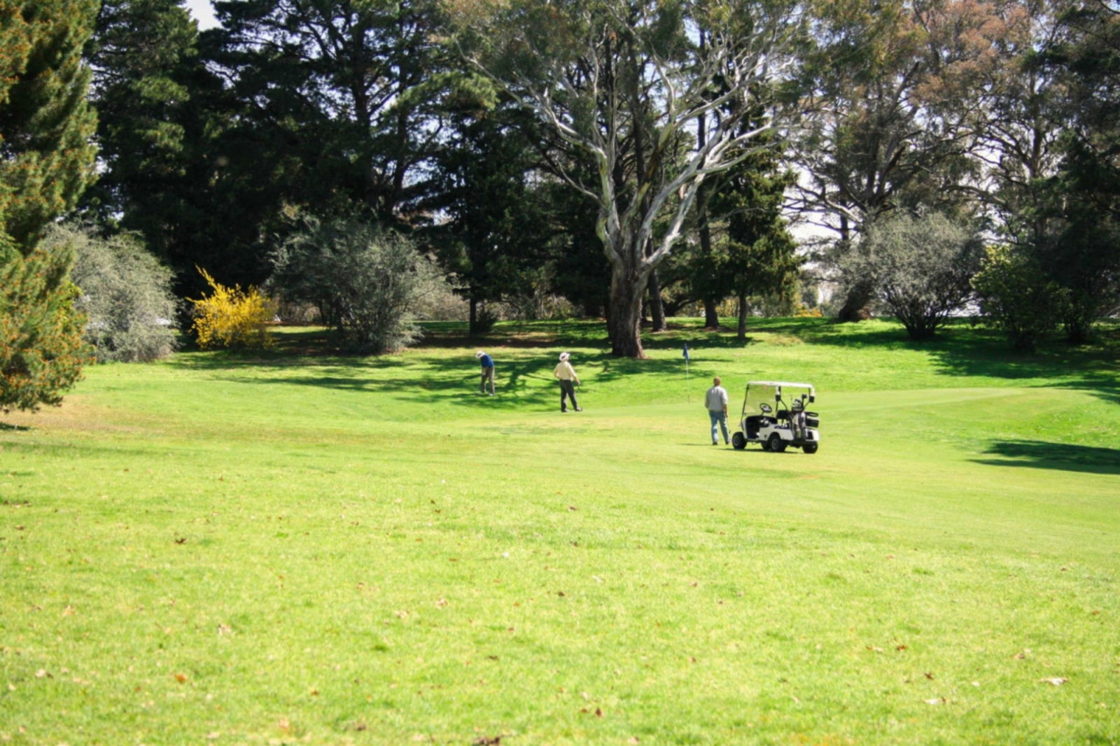 Jeir NSW Accommodation ACT