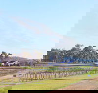 Blacklea Vineyard and Olive Grove - Accommodation ACT