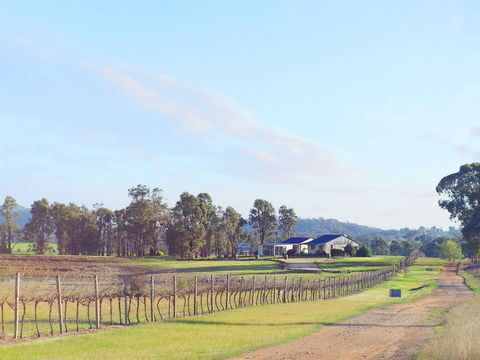 Blacklea Vineyard And Olive Grove - Accommodation ACT 0