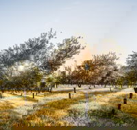 Guneemooroo Estate - Accommodation ACT