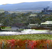 Milton Vineyard - Accommodation ACT