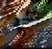 Outback Steakhouse Wollongong - Accommodation ACT