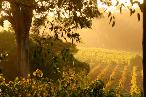 Deep Woods Estate - Accommodation ACT 1