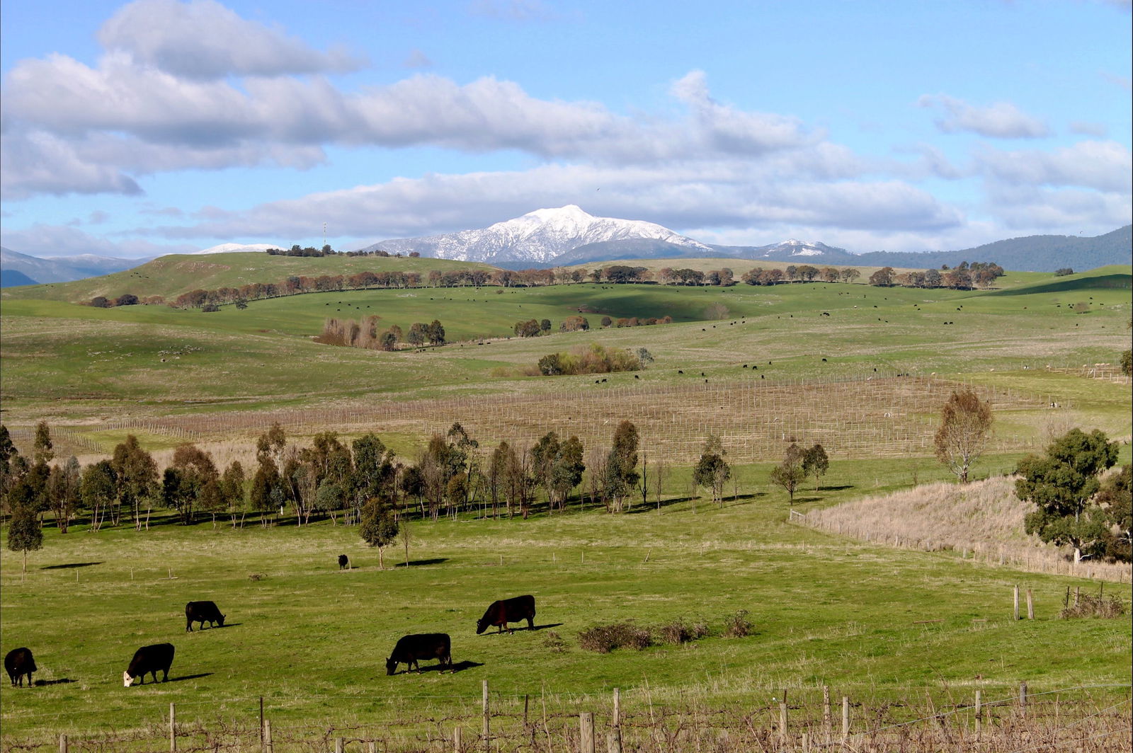 Barwite VIC Accommodation ACT