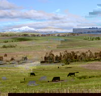 Delatite Winery - Accommodation ACT