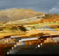 Optimiste Wines - Accommodation ACT