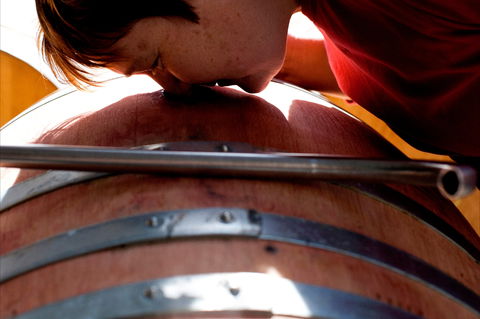 Yarrh Wines - Accommodation ACT 2