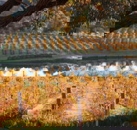 Sanguine Estate - Accommodation ACT