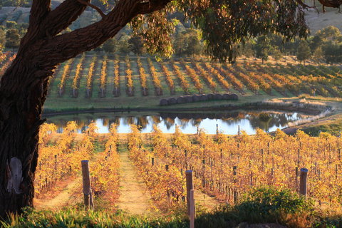 Sanguine Estate - Accommodation ACT 0