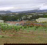 Villa d Esta Vineyard - Accommodation ACT