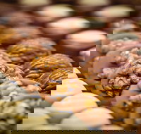 Cafe Stellina - Accommodation ACT