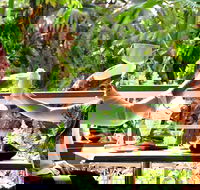 Jaques Coffee Plantation - Accommodation ACT