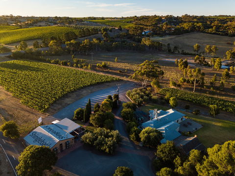 Shingleback Wine - Accommodation ACT 0