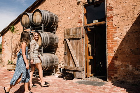 Shingleback Wine - Accommodation ACT 1