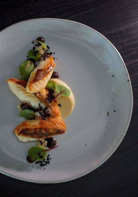 Allium Restaurant & Bar - Accommodation ACT 7
