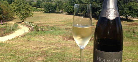 Currency Creek Winery Restaurant - Accommodation ACT 0