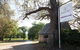 Currency Creek Winery Restaurant - thumb 9