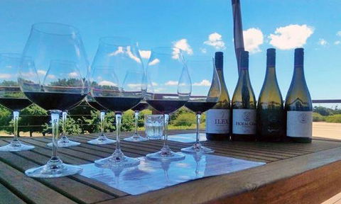 Currency Creek Winery Restaurant - Accommodation ACT 14