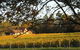 Currency Creek Winery Restaurant - thumb 5