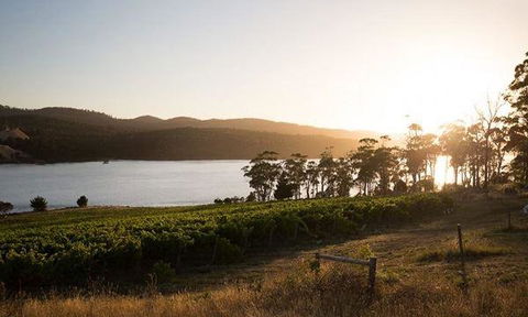 Currency Creek Winery Restaurant - Accommodation ACT 8