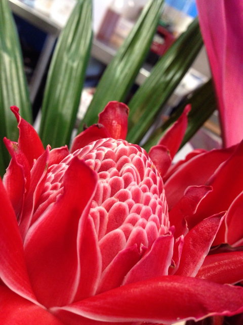 Ebb And Flow Cafe - Accommodation ACT 6