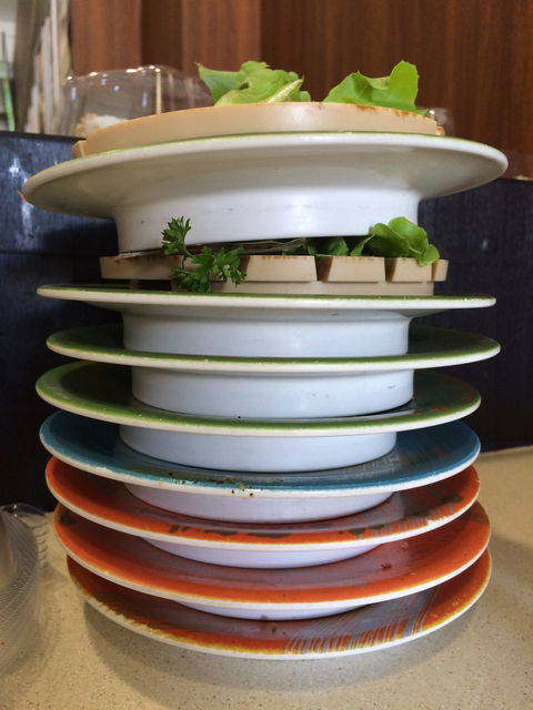 Sushi Train - Accommodation ACT 3