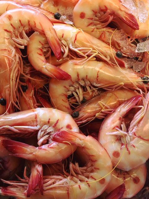 Fraser Shores Seafood - Accommodation ACT 4