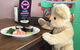 Sushi Monster - thumb 1